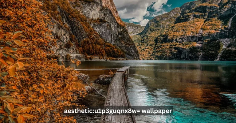 Aesthetic:u1p3guqnx8w= Wallpaper: Upgrade Your Digital Space